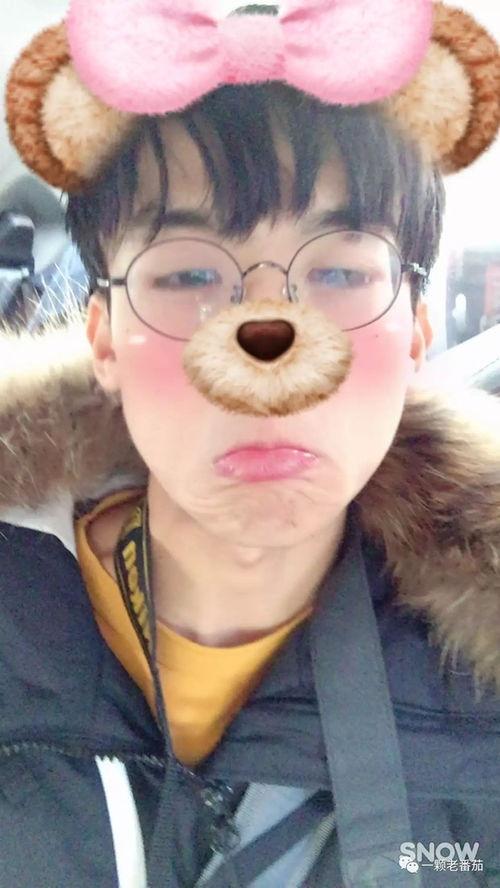 西红柿哥个人资料,揭秘网络红人的成长之路与魅力风采