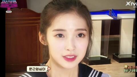 崔乂园个人资料